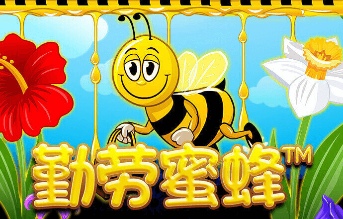 147体育有免费直播